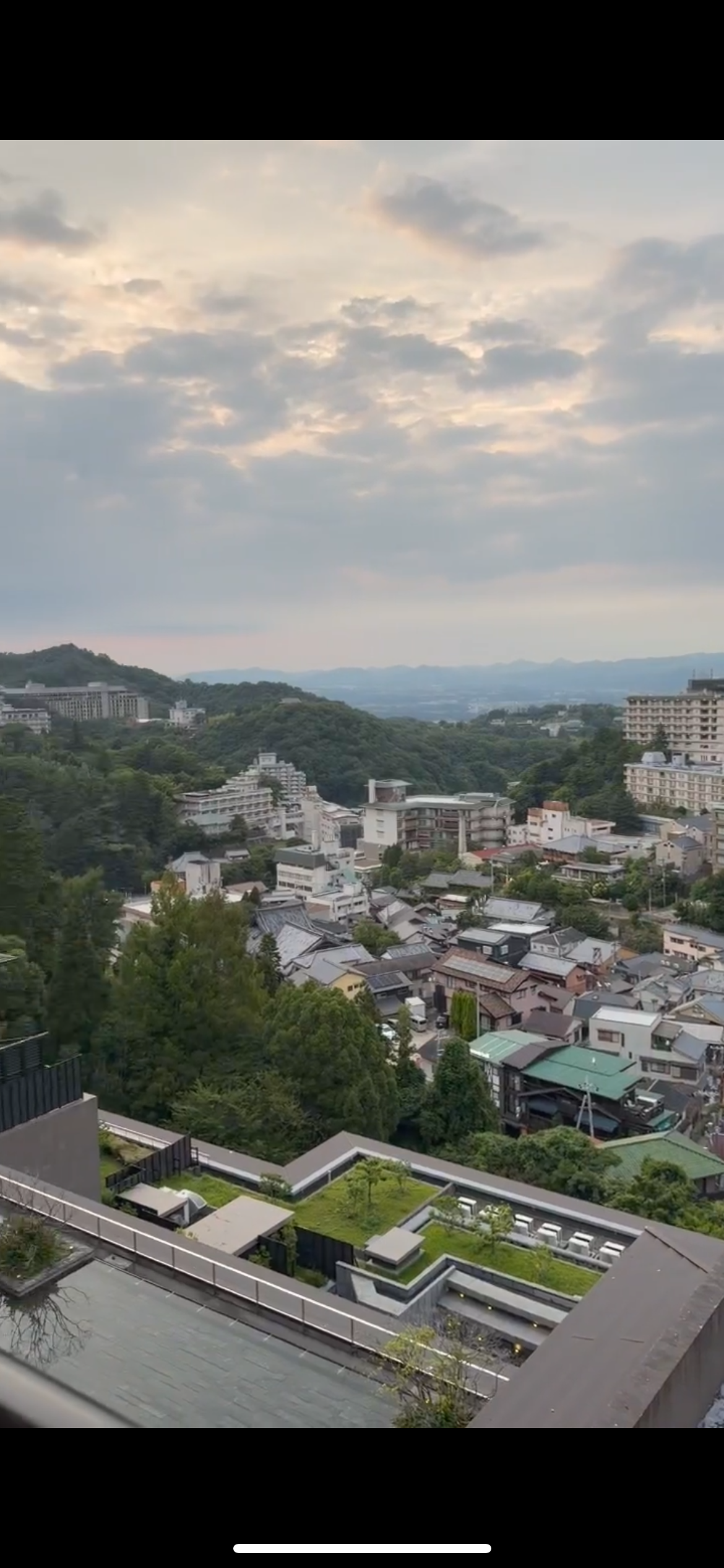 正井 佑大のポートレート