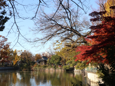 目黒区碑文谷分譲地